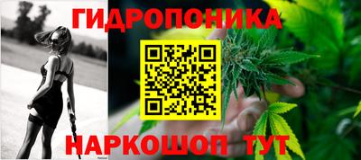крисы Лесосибирск