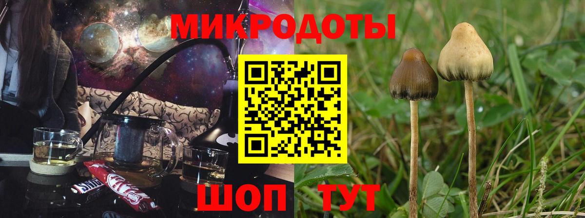 Псилоцибиновые грибы Cubensis  Псилоцибиновые грибы Cubensis  Углич  Вход с VPN 